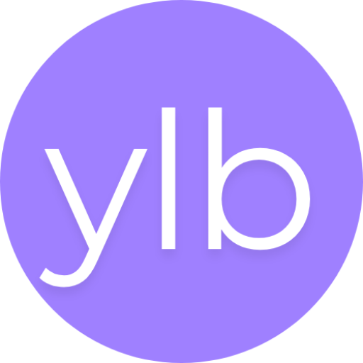Consultant Webmarketing YLB logo