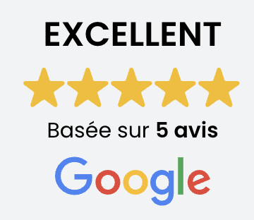 avis consultant seo sea google ads nice ylb webmarketing